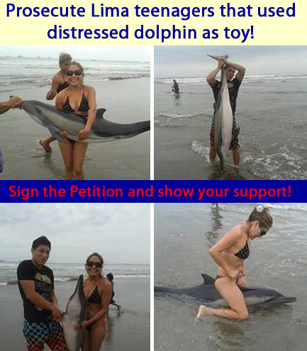 Prosecute Lima Teenagers that Used a Distress Dolphin as a Toy